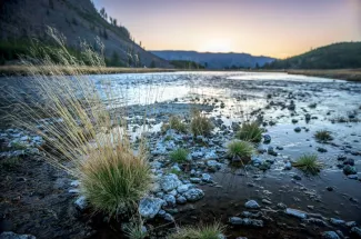 Madison River Yellowstone National Park