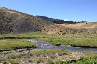 Fly Fishing the Gardner River in Yellowstone National Park