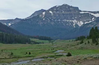 Montana Angler offers guided trips on Slough Creek in Yellowstone National Park