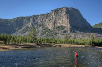 Montana Angler offers guided fishing trips on the Madison River in Yellowstone National Park