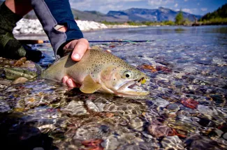 Montana Angler Float Fishing Trips