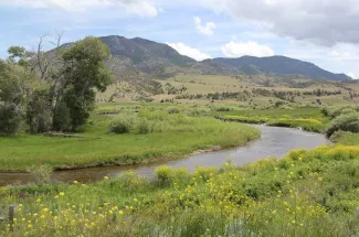Fly Fishing the Shields River in Montana