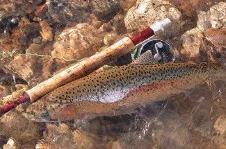 Fly Fishing the Swan River in Montana