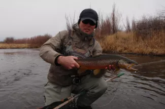 Nice Clark Fork Brown Trout