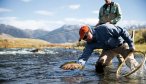 Wade Fishing the Madison River