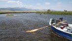 Madison River Fly Fishing Trips