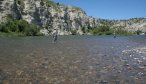 Fly Fishing the Lower Madison River in Montana
