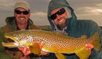 Montana Fly Fishing for Brown Trout