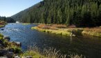 Fall Fly Fishing on the Madison River