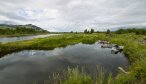 Jefferson River Fly Fishing Guides