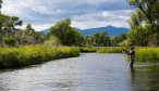 Fly Fishing the Jefferson River in April