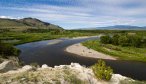 Fly Fishing the Jefferson River in Montana