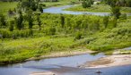 Montana Fly Fishing Guides on the Jefferson River