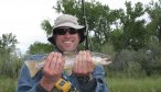 Fly Fishing the Bighorn River in Montana