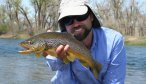 Bighorn River Fly Fishing