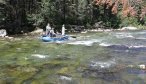 Montana Dry Fly Fishing