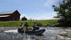 Montana Fly Fishing in July