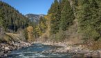 Dry Fly Fishing in Montana