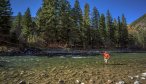 Montana Fall Fly Fishing Trips