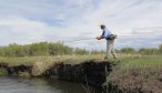 Montana Dry Fly Fishing