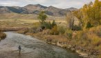 Fall Fly Fishing in Montana