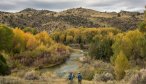 Montana Fly Fishing in September