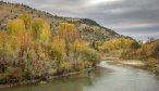 Fall Fly Fishing Trips in Montana