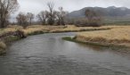 Montana Dry Fly Fishing on the Ruby River