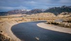 Yellowstone River Fly Fishing Trips