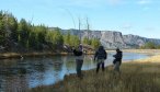 Madison River Fall Run Fishing