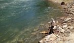 Montana Angler Fly Fishing in Yellowstone Park