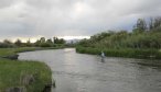 Montana Fly Fishing Guides