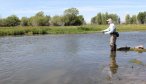 Montana Angler Fly Fishing Trips