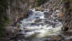 Fly Fishing Trips in Yellowstone National Park