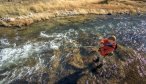 The Gibbon River fishes very well in the Spring and Fall in Yellowstone National Park