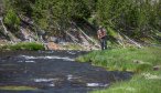 Montana Angler offers guided fishing in Yellowstone National Park