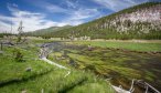 Montana Angler Fly Fishing Wade Trips in Yellowstone National Park