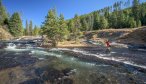 Fly Fishing the Gibbon Canyon in Yellowstone National Park