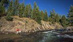 Montana Angler offers wade fishing trips in Yellowstone National Park