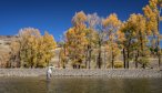 Fly Fishing the Lamar River in Yellowstone National Park