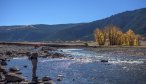 The Lamar River in Yellowstone National park is an excellent summer fishery