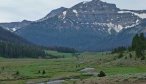 Montana Angler offers guided trips on Slough Creek in Yellowstone National Park