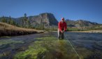 Fall run brown trout fishing on the Madison River