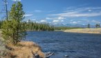 Montana Angler guided wade trips in Yellowstone national Park