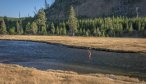 Montana Angler Trips on the Madison River