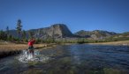 Montana Angler Fly Fishing in Yellowstone Park