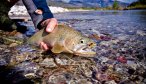 Montana Angler Float Fishing Trips