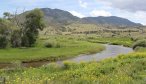 Fly Fishing the Shields River in Montana