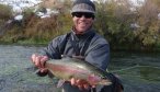 Beaverhead River Rainbow Trout