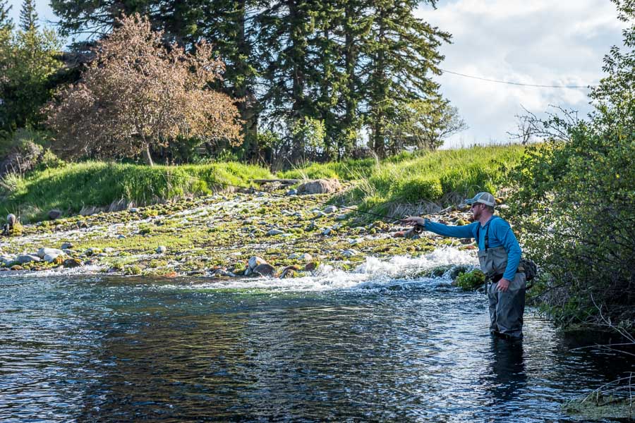 Positioning yourself for a good drift is critical on Spring Creeks
